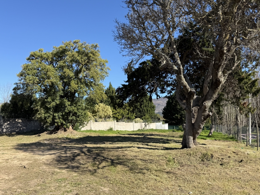 0 Bedroom Property for Sale in Belle Constantia Western Cape